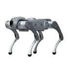 Cane robot quadrupede Galileo C1