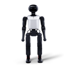 Robot umanoide FF Master Mini