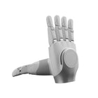 AgiBot OmniHand 2025 Tactile Linke Roboterhand